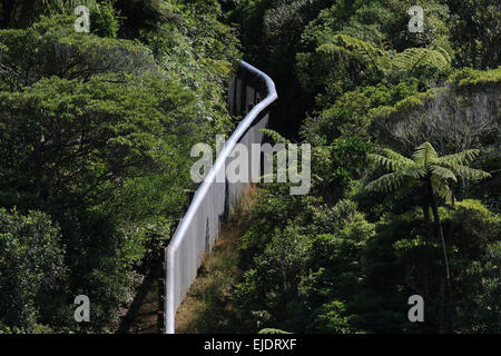 Predator Ausgrenzung Zaun am Zealandia Eco Vergnügungspark Wellington, New Zealand Stockfoto