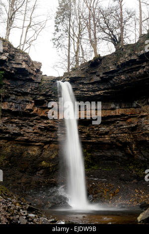 Hardraw Force Wasserfall, North Yorkshire Dales National Park, England UK Stockfoto