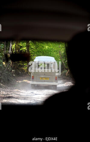 Ein Volkswagen Camper Bus Ion betrachtet eine Landstraße in East Sussex von innen ein zweiter Bus Wohnmobil. Stockfoto