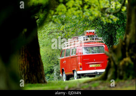 Rückansicht eines leuchtend roten, in Großbritannien registrierten Volkswagen Wohnwagens, der auf einer Landstraße durch einen Wald fährt. Stockfoto