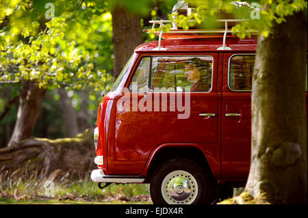 Einem roten Volkswagen Camper Bus auf Landstraße von East Sussex UK. Stockfoto