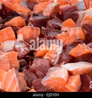 hautnah am Stück Lachs und Thunfisch. Stockfoto