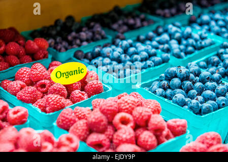 Bio-Beeren in Körben. Stockfoto