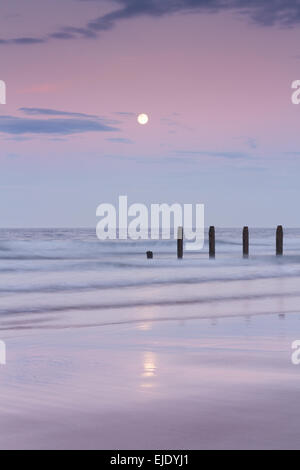 Ein Vollmond, erhebt sich über den Ozean nach einem hübschen rosa altrosa Sonnenuntergang über dem Holzpfosten und Sandstrand in Northumberland. Stockfoto