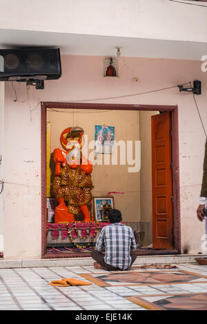 Hindus verehren auf Galtaji Hanuman Hindu-Tempel in der Nähe von Jaipur, Rajasthan, Indien Stockfoto