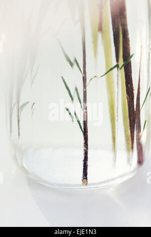 Vase am Tisch abstrakt Stockfoto