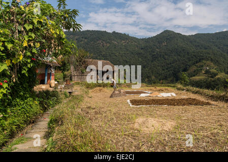 Zum Annapurna Base Camp, Pokhara, Nepal Stockfoto