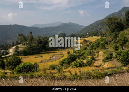 Zum Annapurna Base Camp, Pokhara, Nepal Stockfoto