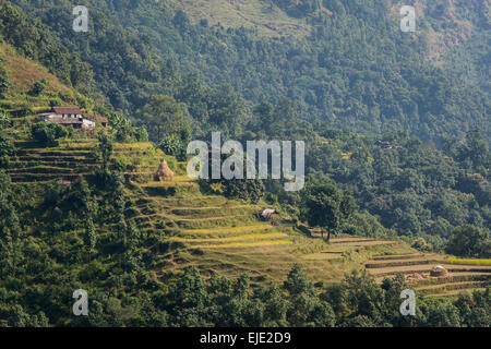 Hinauf zum Annapurna Base Camp Stockfoto