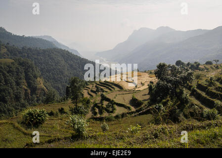 Zum Annapurna Base Camp, Nepal Stockfoto