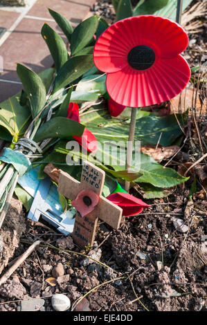 Ergreifende persönliche Nachricht geschrieben auf ein hölzernes Kreuz neben Mohn an einem Kriegerdenkmal in Northernhay Gärten Exeter Stockfoto