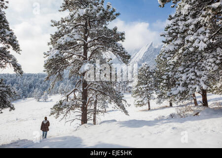 Eine junge Frau Wanderungen durch den Schnee in Richtung der Flatirons in Chautauqua Park, Boulder, Colorado. Stockfoto