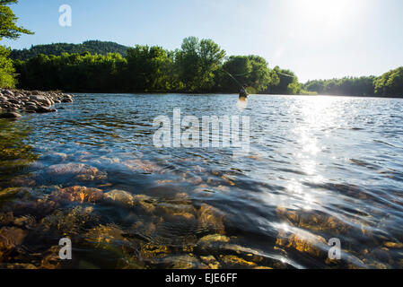 Fliegenfischen in Maine Stockfoto