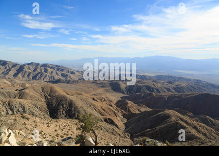 Ein Foto von Keys View in Joshua Tree Nationalpark in Kalifornien. Ein Joshua Baum ist tatsächlich eine Yucca, die wie ein Baum wächst. Stockfoto