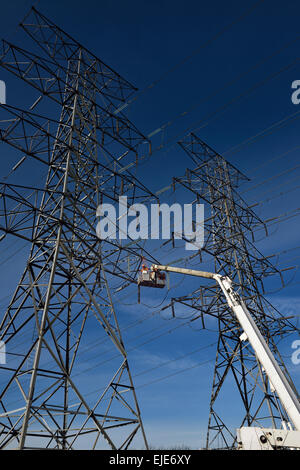 Hydro Linemen auf große Hubarbeitsbühne arbeiten an einer Hochspannungsleitung Zweikreis Hochspannung Stahl Türme Toronto mit blauem Himmel Stockfoto