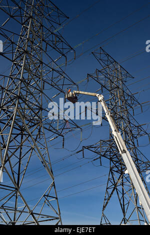 Hydro Linemen am Ausleger heben arbeiten um Aussetzung Isolatoren auf Hochspannung Strom macht Linie Turm zu ersetzen Stockfoto