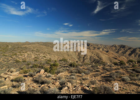 Ein Foto von Keys View in Joshua Tree Nationalpark in Kalifornien. Ein Joshua Baum ist tatsächlich eine Yucca, die wie ein Baum wächst. Stockfoto