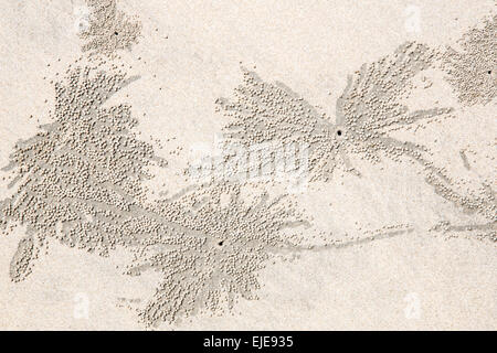 weißer Sandstrand Textur Hintergrund Stockfoto
