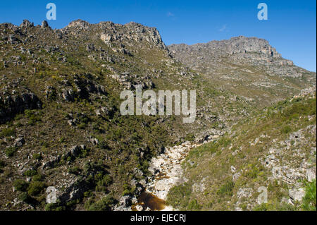 Bainskloof Pass, Südafrika Stockfoto