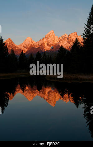 Teton Mountains in einen Herbst Sonnenaufgang spiegelt sich im Teich in der Nähe von Schwabachers Landung im Grand-Teton-Nationalpark, Wyoming Stockfoto