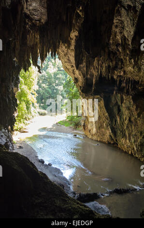 Eine Seite der Eingang zu einer Höhle mit Stalagmiten und Stalaktiten in Tham Lod Nationalpark, Mae Hong Son Provinz, Thailand Stockfoto