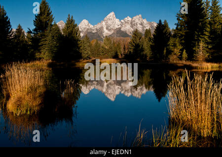 Teton Mountains bedeckt im Herbst spiegelt sich im Teich in Grand Teton Nationalpark Wyoming in Neuschnee. Stockfoto