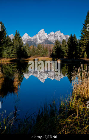 Teton Mountains bedeckt im Herbst spiegelt sich im Teich in Grand Teton Nationalpark Wyoming in Neuschnee. Stockfoto