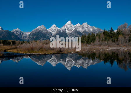 Teton Mountains bedeckt im Herbst spiegelt sich im Teich in Grand Teton Nationalpark Wyoming in Neuschnee. Stockfoto