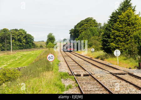 GIGGLESWICK, UK. 12. JULI 2014. Dampfzug 5972 "Olton Hall" posiert wie Hogwarts Schloss die Wizards Express Rail Tour zieht. Stockfoto