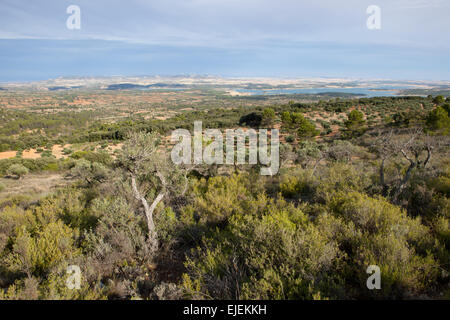 Marsh spektakuläre Landschaften von Dämmen und Wälder von La Alcarria, Guadalajara, Spanien Stockfoto