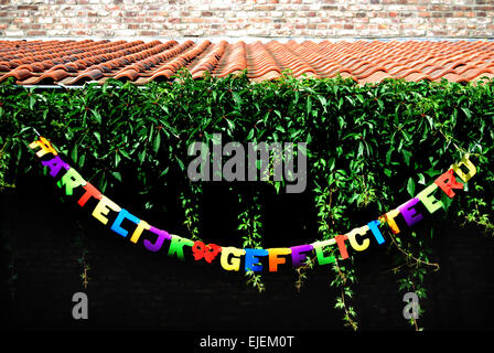 Herzlichen Glückwunsch auf Niederländisch (Hartelijk Gefeliciteerd) Stockfoto