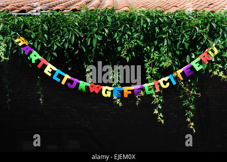 Herzlichen Glückwunsch auf Niederländisch (Hartelijk Gefeliciteerd) Stockfoto