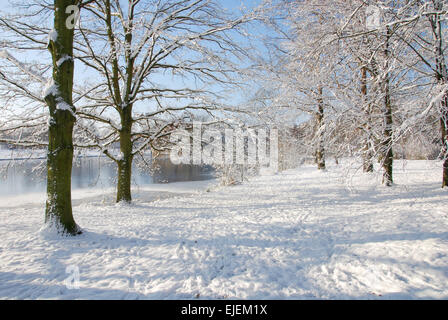 Winter-Szene Mevlana Park Roermond Niederlande Europa Stockfoto