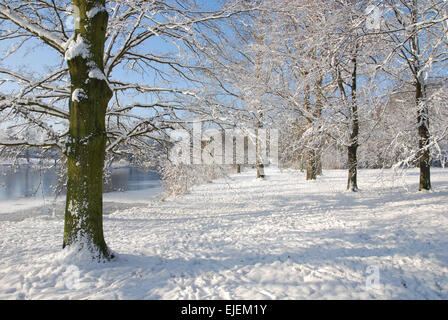 Winter-Szene Mevlana Park Roermond Niederlande Europa Stockfoto