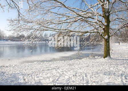 Winter-Szene Mevlana Park Roermond Niederlande Europa Stockfoto