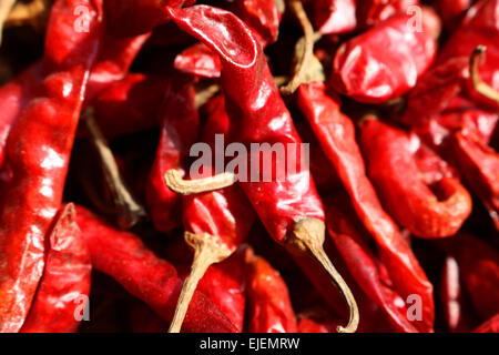 Getrocknete rote Chilischote in Jodhpur-Markt in Indien Stockfoto