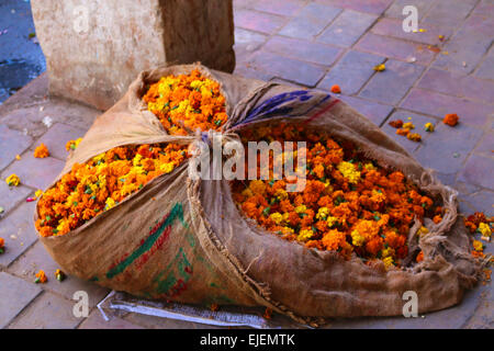 Ein Sackful Blumen in Delhi Stockfoto