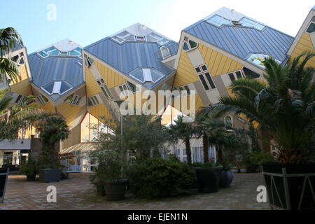 Kubuswoningen oder Cube Häuser aus den 1970er Jahren in Rotterdam, Niederlande, entworfen vom niederländischen Architekten Piet Blom Stockfoto
