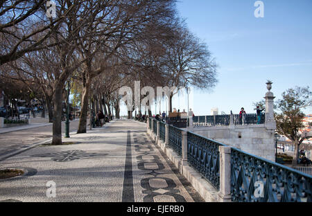 Jardim de São Pedro de Alcântara im Bairro Alto in Lissabon - Portugal Stockfoto