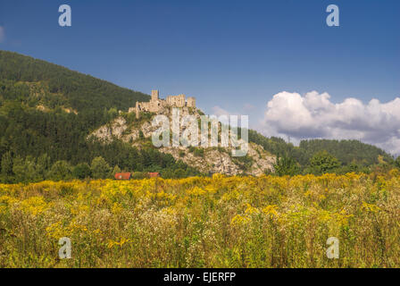 Malerische Burgruine Strecno in der Slowakei Stockfoto