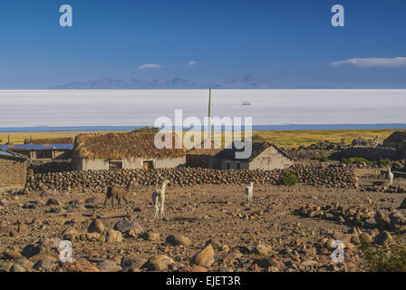 Bolivianische Dorfkern mit Lamas und große weiße Salz flach Salar de Uyuni im Hintergrund Stockfoto