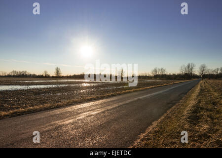 Ländlichen Landstraße durch Kornfeld im Winter, Indiana, USA Stockfoto