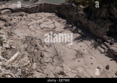 Orakei Korako geothermische Tal in der Nähe von Taupo in Neuseeland. Stockfoto