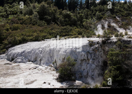 Orakei Korako geothermische Tal in der Nähe von Taupo in Neuseeland. Stockfoto