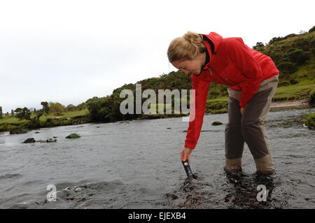 Westcounty Flüsse Vertrauen Electro Angeln am East Dart River bei Bellever, Brücke Dartmoor National Park Devon England Stockfoto