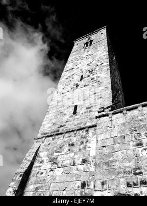 St-Regeln-Turm in St Andrews Fife Schottland Stockfoto