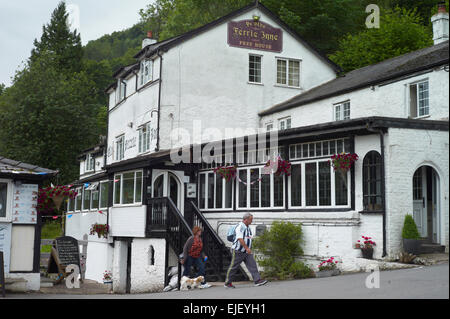 Ye Olde Ferrie in bei Symonds Yat, Hereforshire England UK betreibt die Oberhand zog Fähre Stockfoto