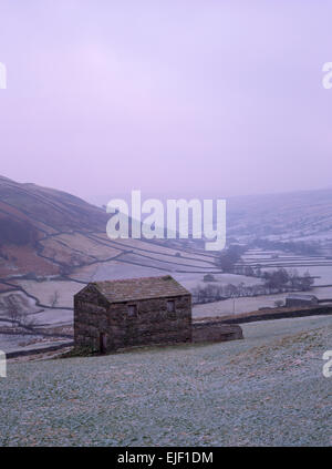 Suchen SE an markanten zweigeschossigen Kalkstein Feld Scheunen inmitten von regelmäßigen Trockenmauern ummauerten Gehegen im oberen Swaledale, North Yorkshire. Stockfoto