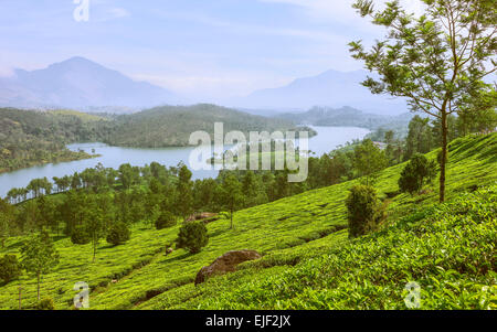 See in der Mitte eine Teeplantage im Morgengrauen mit den Kannan Devan Hügeln im Hintergrund, Munnar, Kerala, Indien. Stockfoto