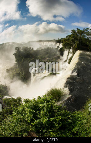 Argentinien, Iguazu Wasserfälle, San Martin, Mbigua und Bernabe Mendez Wasserfälle Fisch Vogelperspektive Stockfoto
